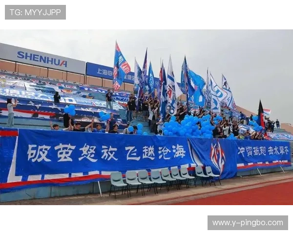 申花阵容稳固却难见新意，战术变化能否突破当前局面？